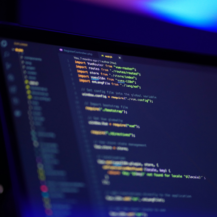 Professional website development with clean coding and modern technology